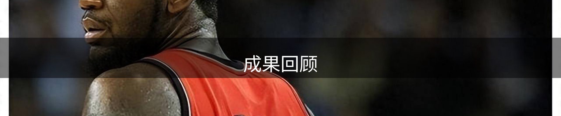 成果回顾